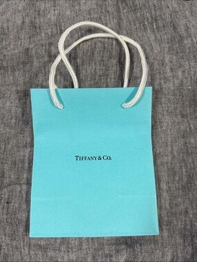Tiffany & Co. Robin's Egg Blue Shopping bag - Small - with White Rope Handles